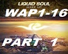 Liquid Soul Wake Up Prt1