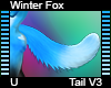 Wintter Fox Tail V3