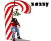 Candy Cane kissing spot