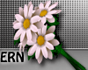 Pink Daisy Bouquet