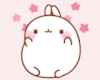 Molang