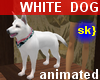 sk} White dog