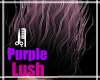M . Purple/Lush ○
