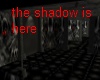 (s)Into the shadows