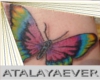 tattoo mariposa01