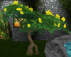 Yellow Flowered Tree