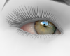 Honey Eyes