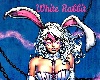 *RS*White Rabbit Pic