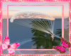 Add On Parasail
