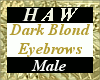 Dark Blond Eyebrows - M