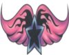star wings sticker