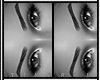 Brows Black