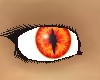 fire dragon eye