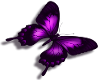 {R} purple butterfly sm