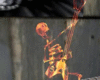 Flaming bassist skeleton