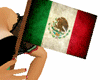 [kyh]mexican flag fem