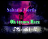 Saltatio Mortis oth1-12