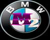 [L1]BMW M2