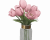 Flowers Tulipes