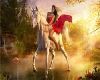Fantasy Woman on horse