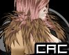 [C.A.C] Dear C. Shoulder