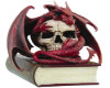 Dragon Skull Book