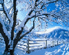 Winter 2Sided Background