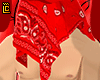 gang bandana