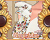 AM* Aravis Sleeves