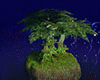 Tree of Life ROOM