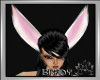 [B]slink bunny ears
