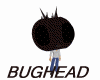BUGHEAD