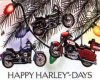 Happy Harley Days