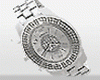 Platinum Watch