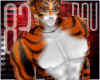 *P* Tiger skin