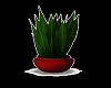 Red Inferno Plant 2