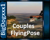 [BD]CouplesFlyingPose