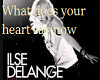 ilse de lange -what does
