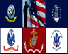 All Military Branches 