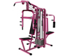 Multi Gym