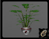 Music Potted Plant