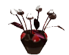 Chocolate vanilla tulips