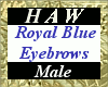 Royal Blue Eyebrows - M