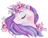 Unicorn Picture