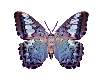 LL-animated butterfly
