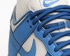 Blue Dunk SB