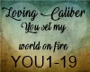 [BM]LovingCaliber-YouSet