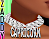 Capricorn Necklace F