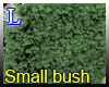 Bush 4 garden S!!!