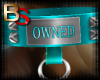 (BS) Owned Collar HD